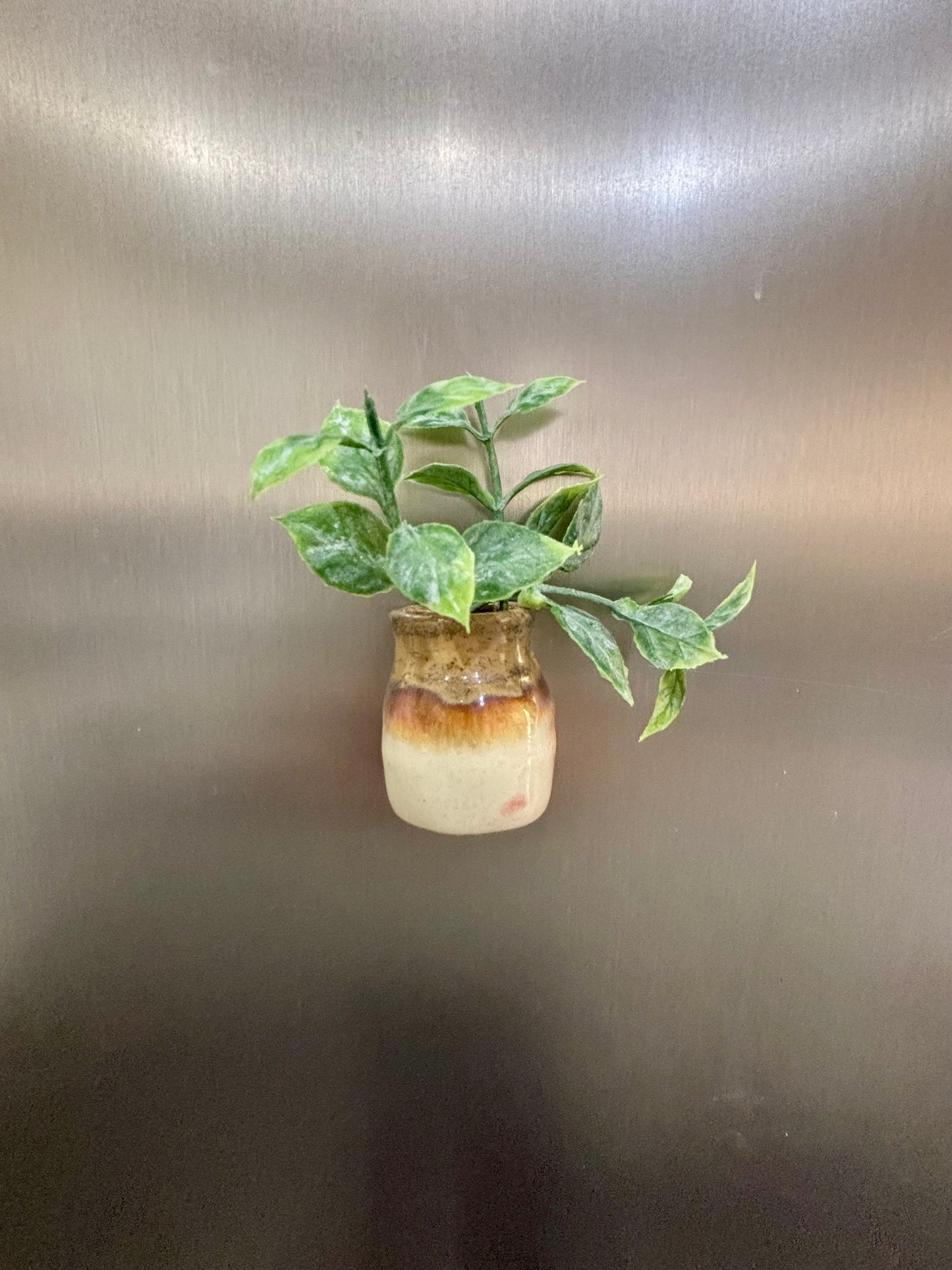 Honey Drift